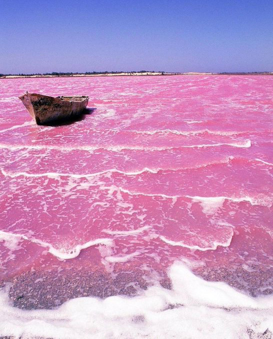 Racers running by Lake Retba